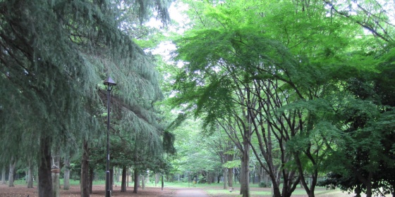 2009年7月9日 小金井公園にて